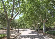 Parque de la Alhambra