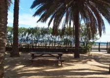 Parc El Palmar