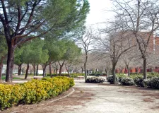 Parque de Canillejas