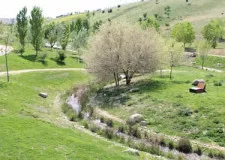 Parc Forestal de Valdebebas-Felip VI